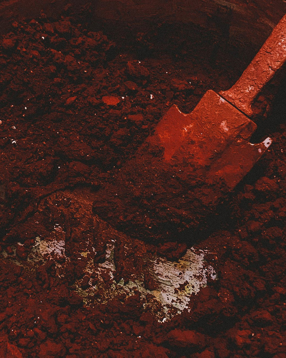 "血, Blood" Singapore Art Week 2022